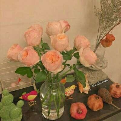 大众彩票app最新版下载